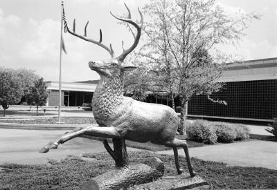 Statue of stag in fornt of building.