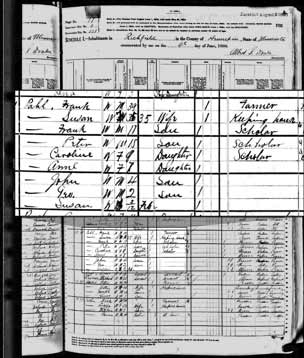 Page from the 1880 Census.